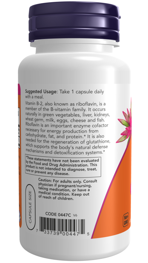 NOW B2 100mg 100